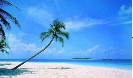 海南旅游最新爆料消息,秘境探险与海岛风情尽享之旅