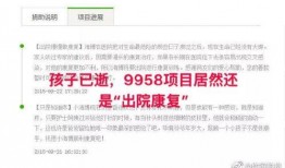 武冈新闻爆料事件真相,真相大白